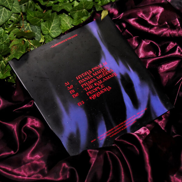 Personal Sauveur - Levorotatory (LP) - Image 4