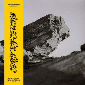 Hihats In Trees -  Artefacts (LP)
