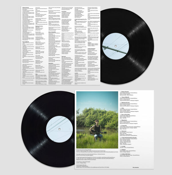 Nicolas Michaux - Vitalisme (LP) - Image 4