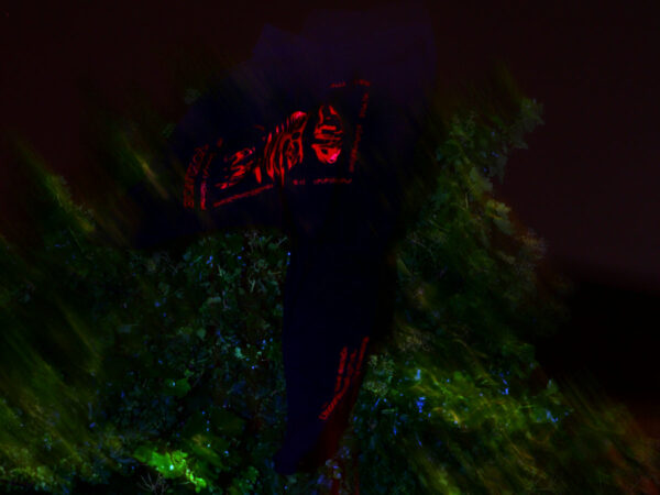 Clairvoyance Is The Dance (Black Longsleeve Shirt) - Image 2