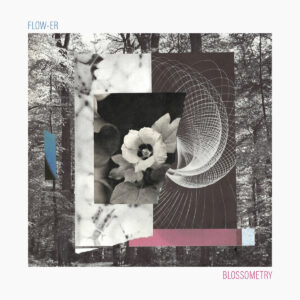 Flow-er - Blossometry (12")