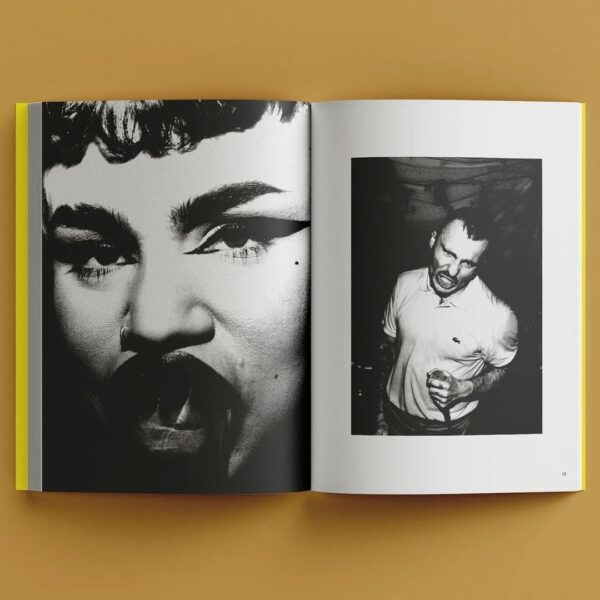Cobra Jaune (Book) - Image 2